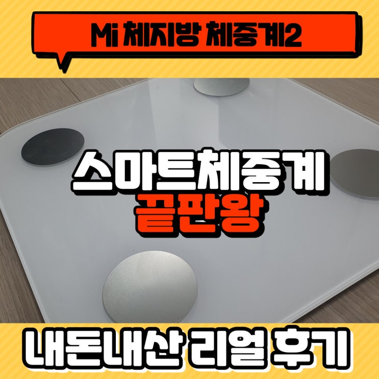  체중계의 끝판왕 - Mi 체지방 체중계2 내돈내산 후기