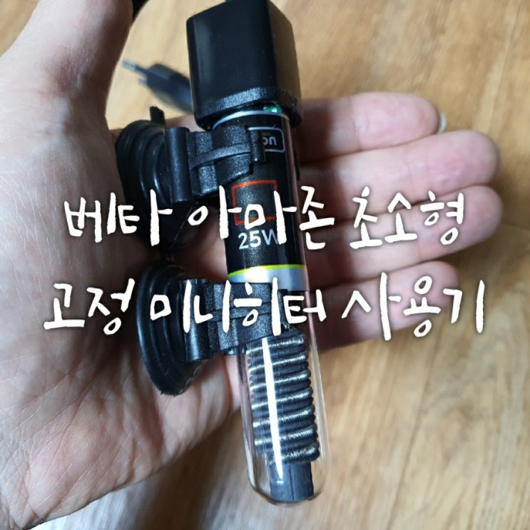 베타 키우기 - 아마존 초소형 고정 미니히터(feat. vs 도핀 미니히터) 베타 키우기 - 아마존 초소형 고정 미니히터(feat. vs 도핀 미니히터)