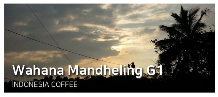  [Premium]Wahana Mandheling G1