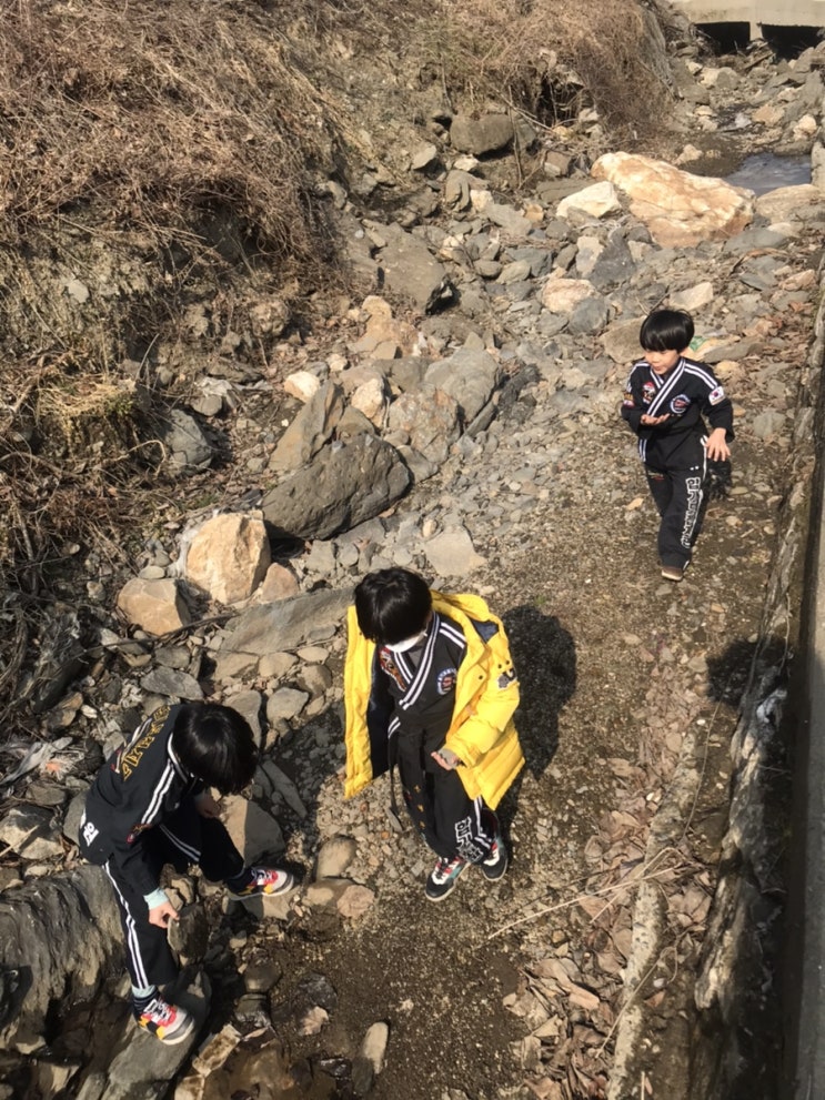  [스스로 자연학습] 외갓집 앞 냇가에서 얼음깨기 놀이