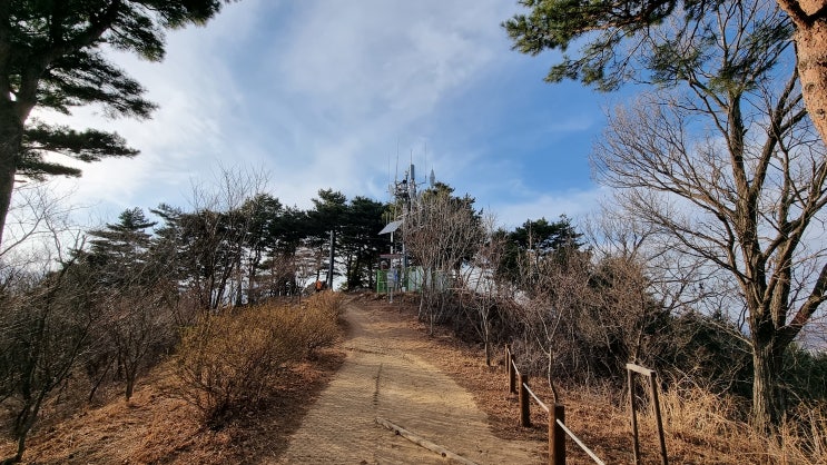  2월20 일 토요일 오후 봄날씨 같은 날의 청대산