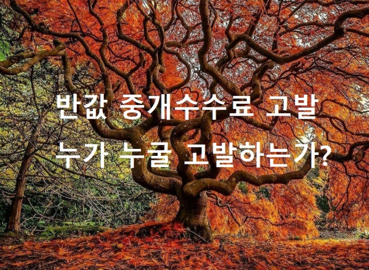  반값 중개수수료 고발? 누구 누굴 고발하는가?