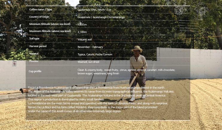  [Specialty] Finca La Providencia Micro Lot