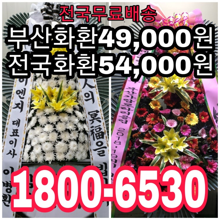  마산장례식장 영락원장례식장 동창원장례식장 마산의료원장례식장 근조화환 영정바구니 마산꽃배달서비스 장례식화환 보내기 간편주문 54000원화환
