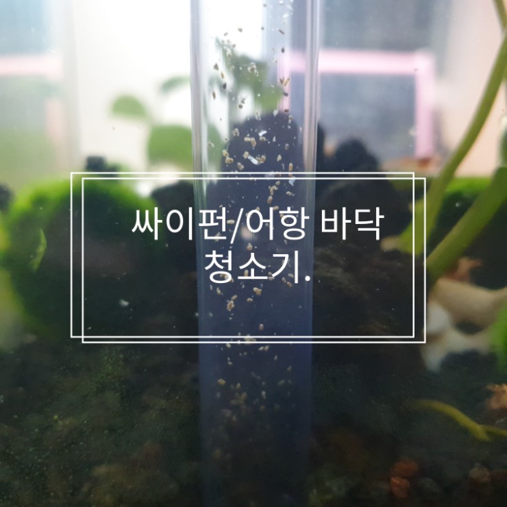  사이펀/수동식 어항 바닥 청소기 (수이사쿠 프로호스 EX, S)