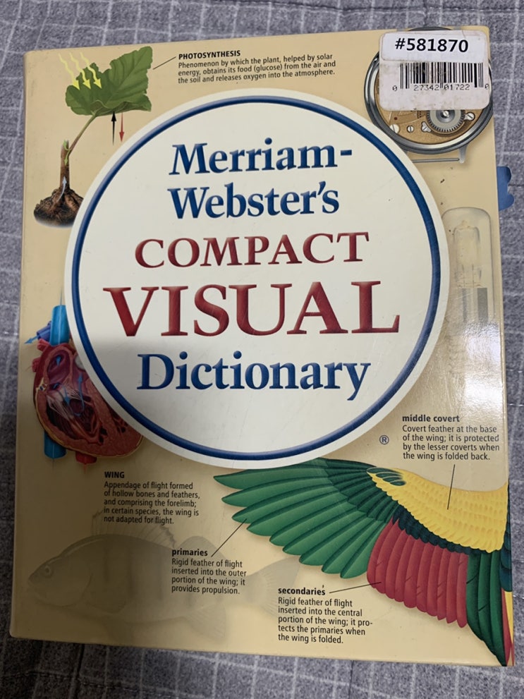 [책] 아동영어도서추천 / 영어그림책 / 영어사전 - Merriam-Webster’s COMPACT VISUAL Dictionary