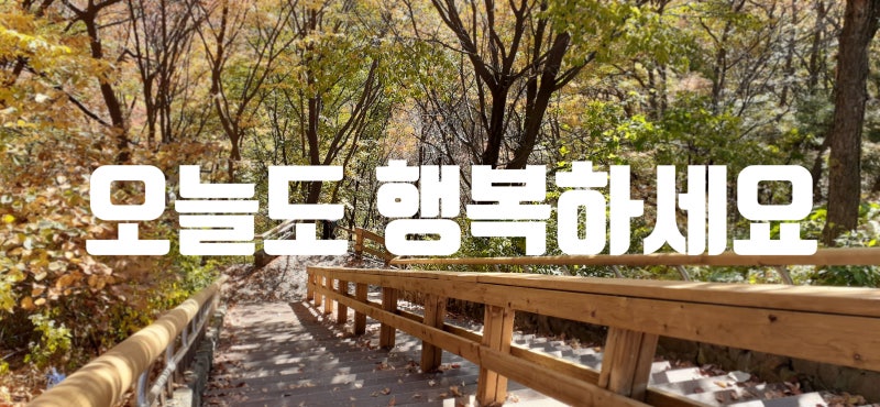떼다 때다 구분해서 사용하세요 : 네이버 블로그