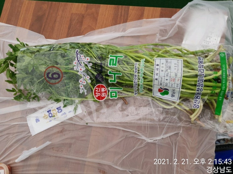  [양산  원동면] 원동미나리& 가야진사공원