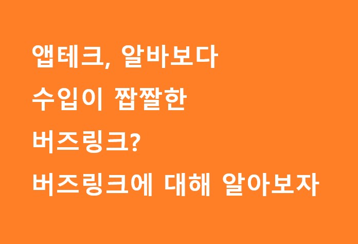  앱테크보다 수익이 쏠쏠하다? '버즈 링크' 소개 및 사용방법 공개. 1300K 제품 홍보를 통한 수익활동