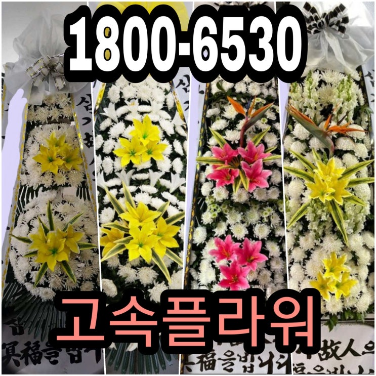  순천 장례식장 근조화환배달 문사예절 웨딩홀 결혼식장 축하화환배달 축하문구 고속화환 54,000원