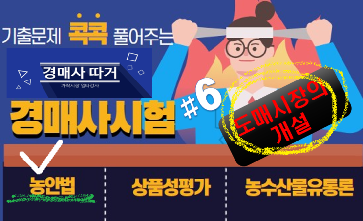  기출문제 풀고 경매사 되기! (농안법 #6) "도매시장의 개설"