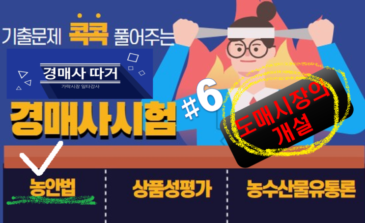 기출문제 풀고 경매사 되기! (농안법 #6) "도매시장의 개설"