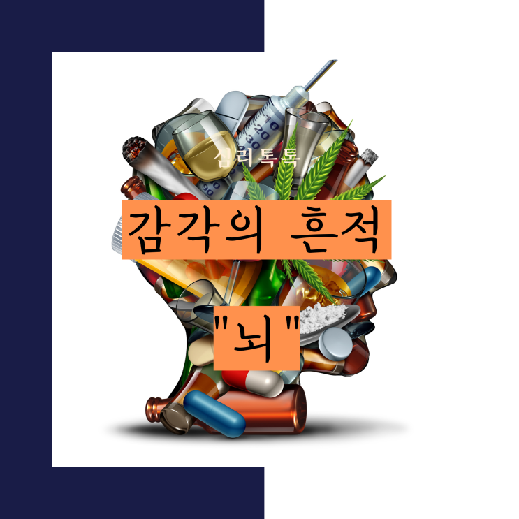  [심리톡톡]모두의심리상담센터,화정심리상담,감각의 흔적 - 우리의 '뇌', 감각의 만족이 우리의 행복일까? (그것이 알고 싶다 마약)