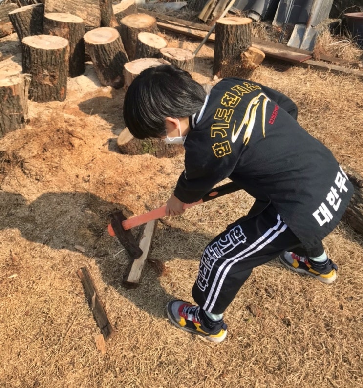  [시골여행] 아빠와 함께 나무 자르기