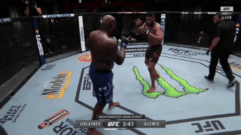 UFC 베가스 19: 블레이즈 vs 루이스 리뷰(GIF): 새로운 바람이 부는 헤비급