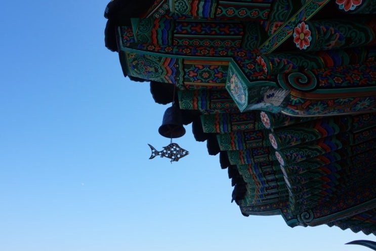  [여수 향일암] 아이와함께/반려동물과함께 여수여행 필수코스 추천해요