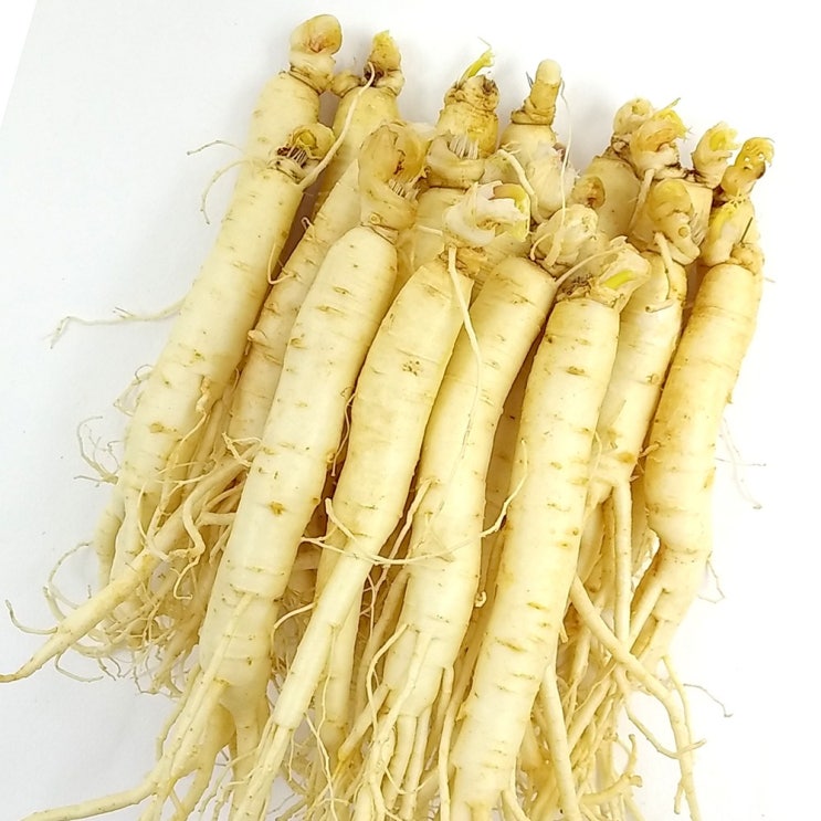 당신만 모르는 더굿진생 금산 인삼 햇 원삼 세척 수삼 삼계탕인삼 실속형 오쿠용, 1개, 원수삼450g(14~16뿌리) ··· 당신만 모르는 더굿진생 금산 인삼 햇 원삼 세척 수삼 삼계탕인삼 실속형 오쿠용, 1개, 원수삼450g(14~16뿌리) ···