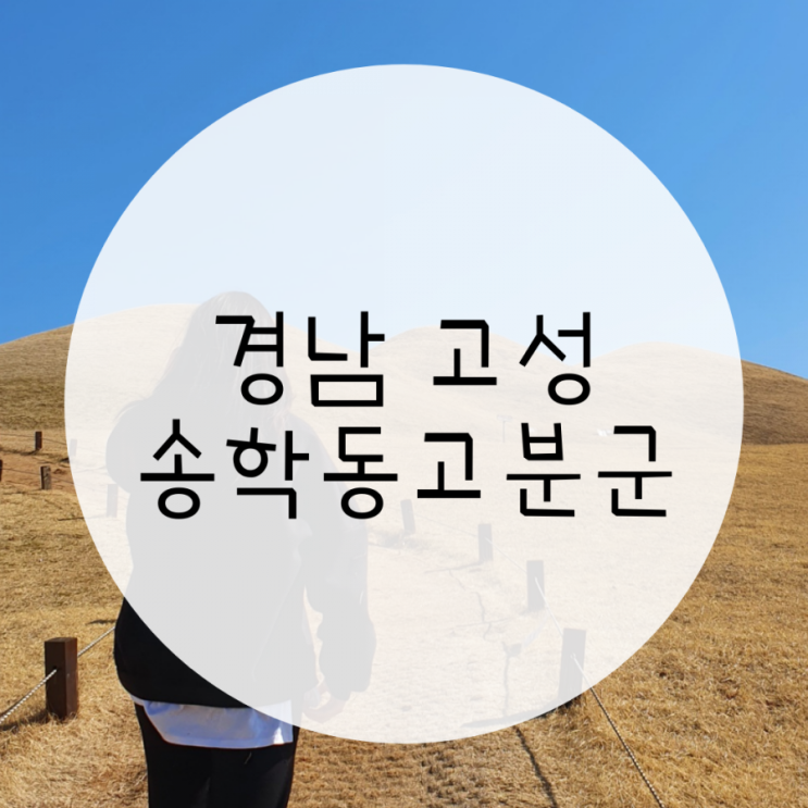 경남고성 가볼만한곳 송학동고분군 나들이