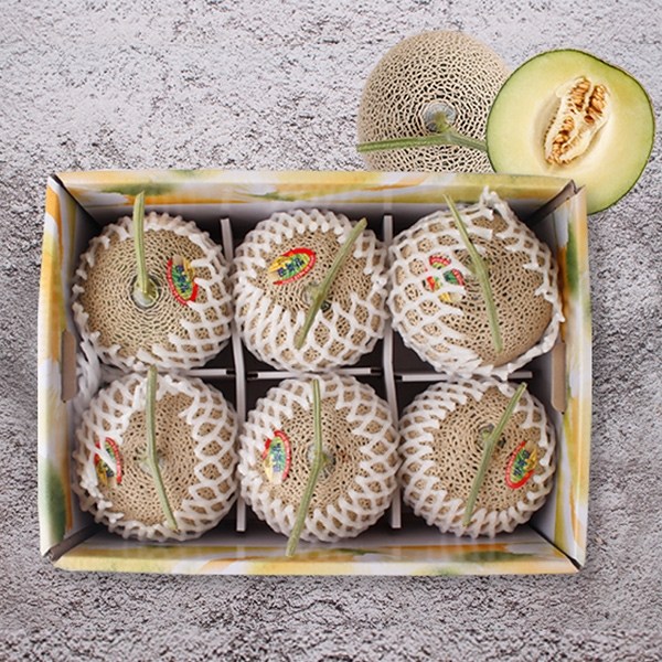 당신만 모르는 감동 머스크 멜론 중과 8kg내외 6수, 단일상품 ··· 당신만 모르는 감동 머스크 멜론 중과 8kg내외 6수, 단일상품 ···