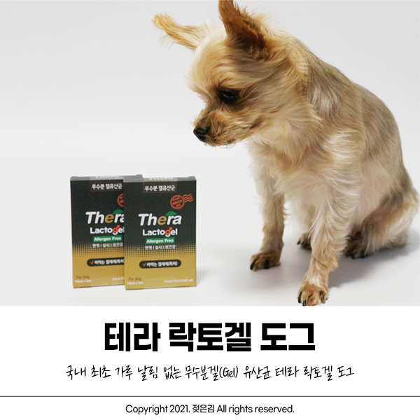 가루날림 걱정 없는 강아지유산균 테라 락토겔 도그 가루날림 걱정 없는 강아지유산균 테라 락토겔 도그