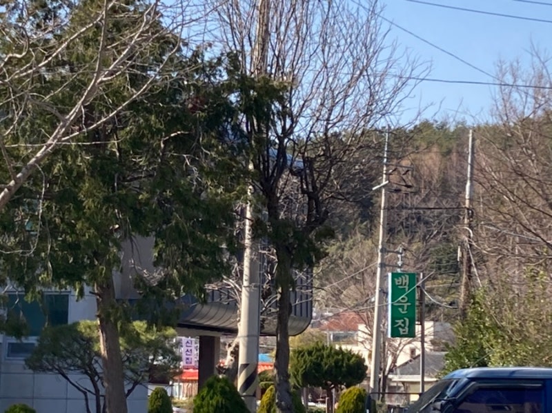 사진 5