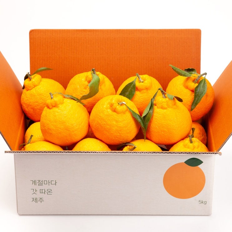 가성비갑 깨비농원 고당도 한라봉 4.5kg, 1box, 한라봉 4.5kg 대과 ··· 가성비갑 깨비농원 고당도 한라봉 4.5kg, 1box, 한라봉 4.5kg 대과 ···