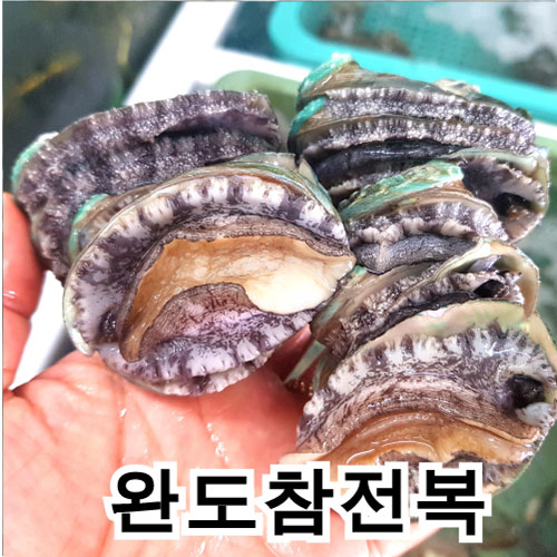 요즘 인기있는 남도전복 전복, D 1kg(총30~40마리), 1box 좋아요