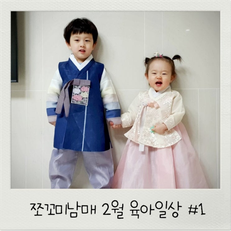  쪼꼬미남매 육아일기 38개월 18개월 아기 2월 육아일상