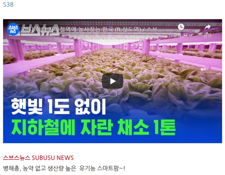 S38 하다 하다 지하철역에 농사짓는 한국 (ft.상도역) / 스브스뉴스