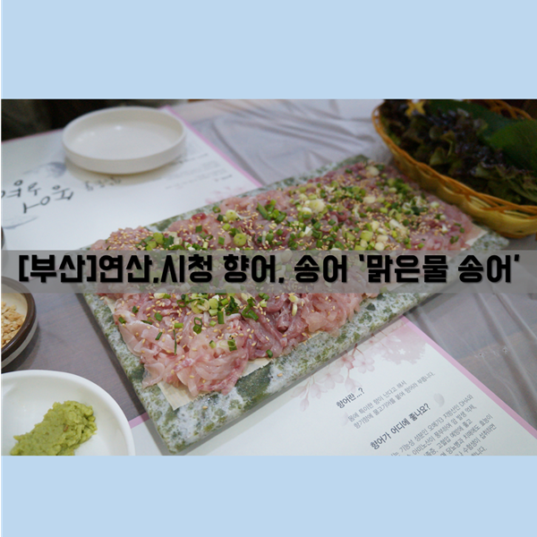 [시청, 연산동횟집] 식사, 안주_향어, 송어맛집 '맑은물 송어'