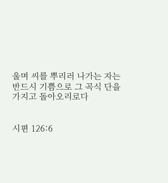  복잡하고 외로운 세상, 내게 위로를 주는 짤들