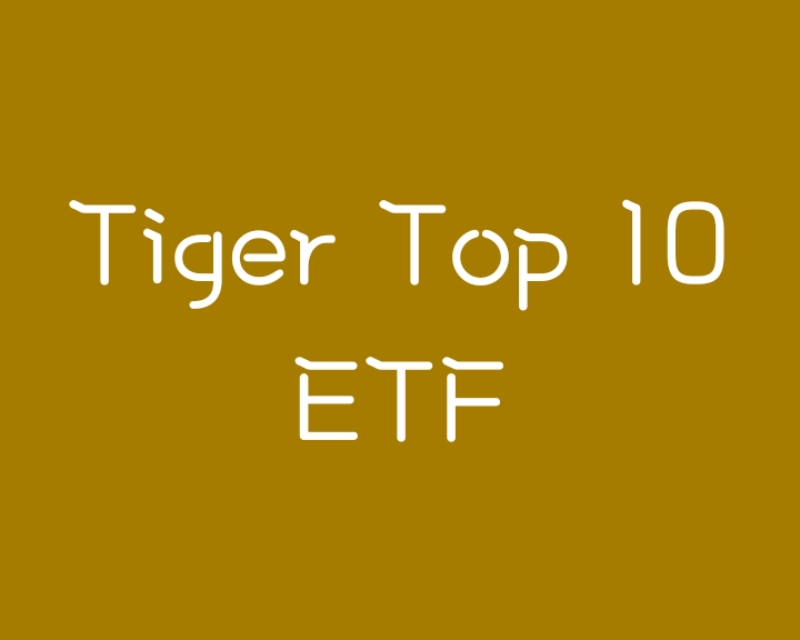 우량주에 투자하는 TIGER TOP10 ETF 구성종목 및 분배금 우량주에 투자하는 TIGER TOP10 ETF 구성종목 및 분배금