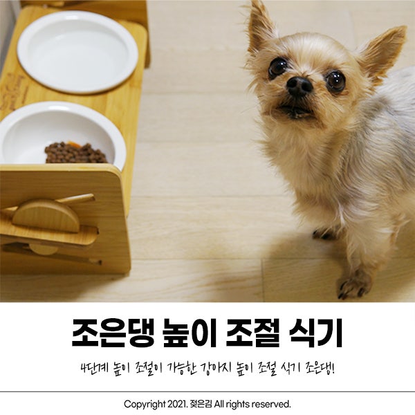 방이를 위한 높이조절식기 조은댕 강아지 밥그릇