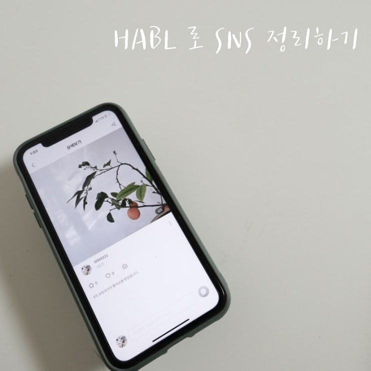  엄마의 소셜관리 : 하블 어플로 큐레이션과 리워드 한번에 얻기
