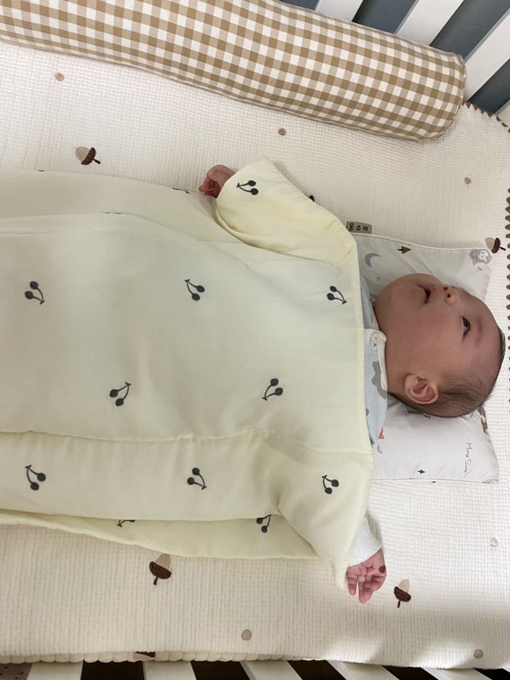  몽슈레 아기 태열베개:내돈내산