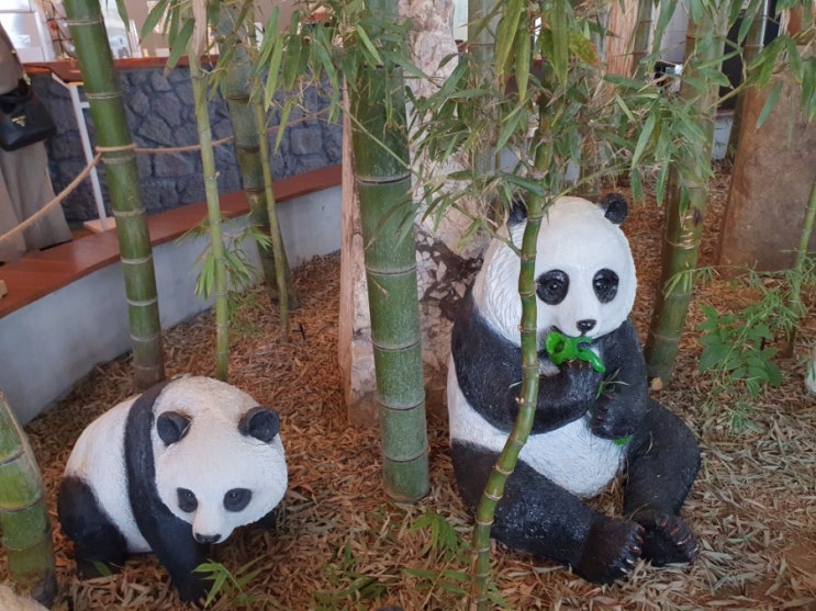  김포 카페 대나무 숲에 온 듯한 뱀부(Bamboo) 방문기