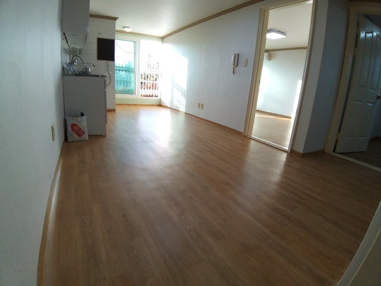  파주 탄현면 법흥리 투룸 전세 6000만 전망 좋고 거실 넓은 투룸 3층 융자 없는 집, 파주 관광특구 통일동산 투룸 전세 임대