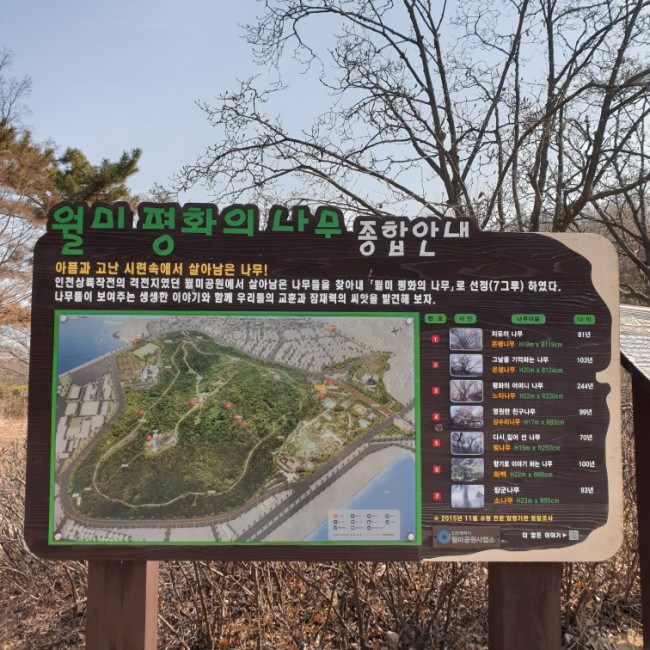  [월미도] 유모차끌고 걷기좋은 산책길 월미산 둘레길