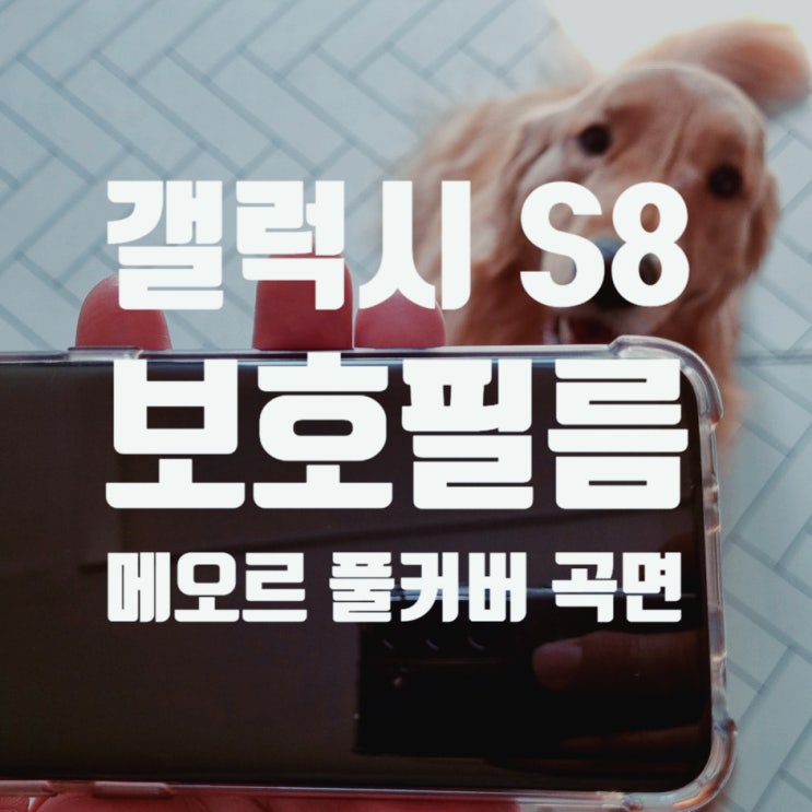 갤럭시 S8 보호필름 - 메오르 풀커버 곡면 PET 필름