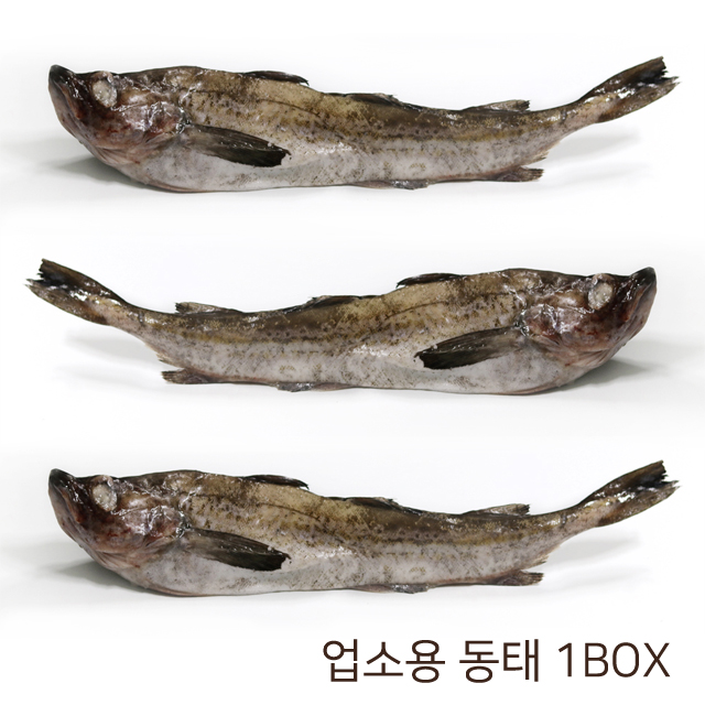 인기 급상승인 동태 21.5kg전후, 1박스, 8통21.5kg전후(34마리전후) 추천합니다