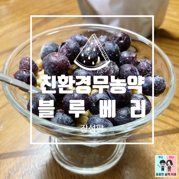  블루베리 그래놀라 요거트 만들기!  [장성팜 친환경 무농약 냉동 블루베리]