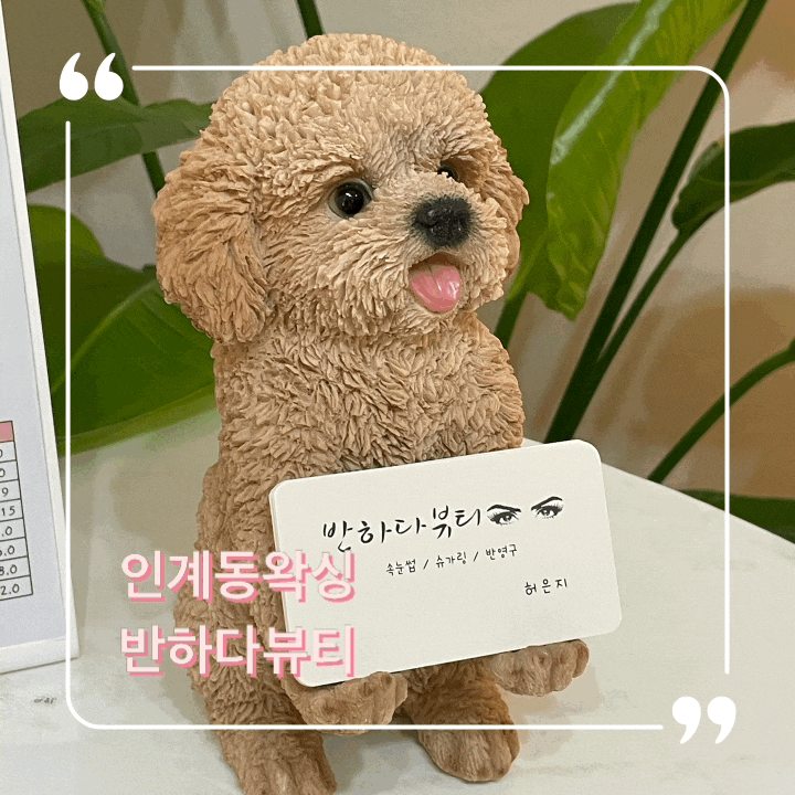  인계동왁싱 알렉산드리아 프로페셔널 제품쓰는 반하다뷰티