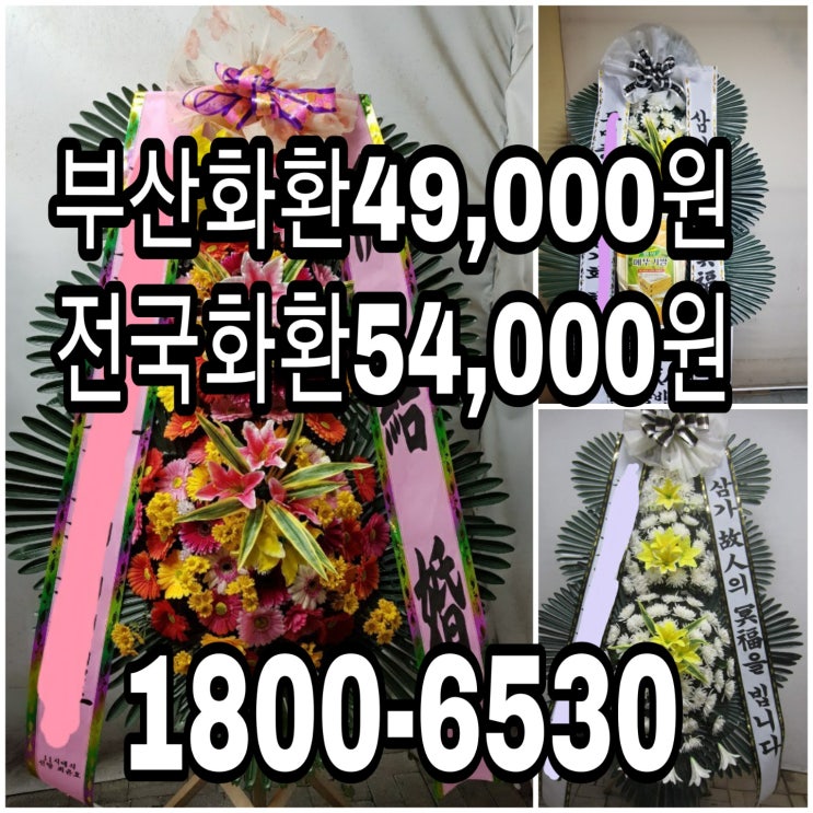  부산 근조화환배달 장례식장 4만원대근조화환 최저가화환 결혼식화환보내기 쌀화환 저렴한고속플라워 49000원 1800-6530