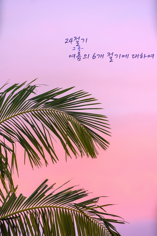  [24절기/24절기란] 그 중 여름의 절기 6개에 대해_입하, 소만, 망종, 하지, 소서, 대서