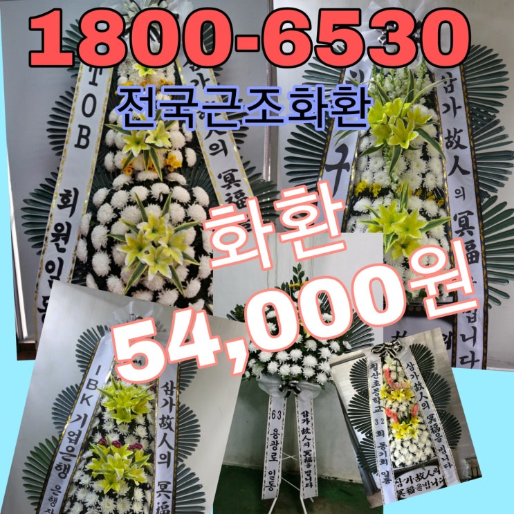  대구 근조화환배달 대구전문장례식장 5만원대화환 저렴한화환 최저가주문 빠른배송 빠른접수 고속플라워 1800-6530