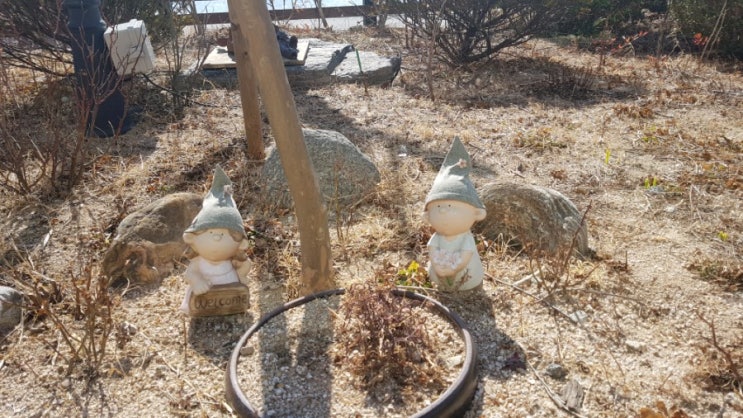 (*버스)가→ 주차장에서 썩어가 고사 직전22일 여행업계 청와대서집회 (*버스)가→ 주차장에서 썩어가 고사 직전22일 여행업계 청와대서집회
