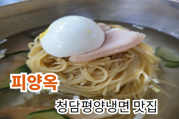  피양옥 청담평양냉면 맛 후기!