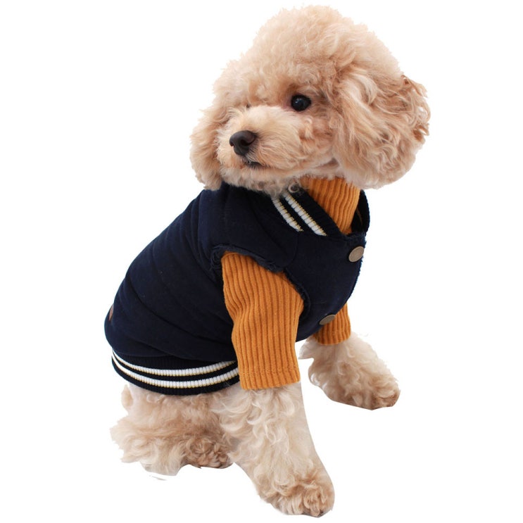 당신만 모르는 루나하우스 캥거루 애견 패딩, Navy(로켓배송) 추천해요 당신만 모르는 루나하우스 캥거루 애견 패딩, Navy(로켓배송) 추천해요