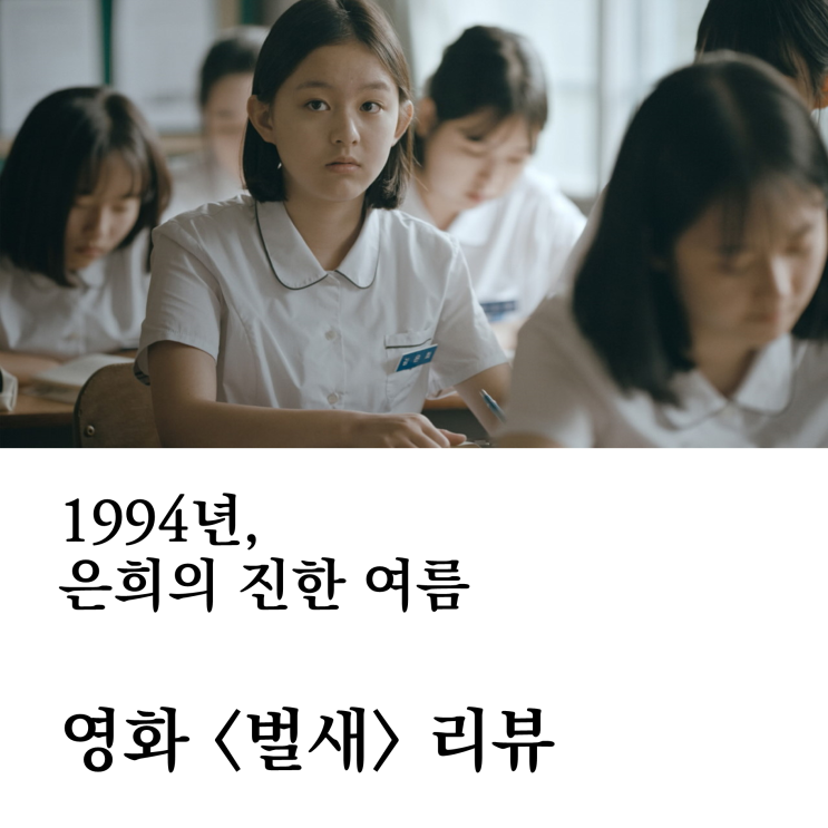 1994년 은희의 진한 여름ㅣ영화 &lt;벌새&gt;(2019) 리뷰