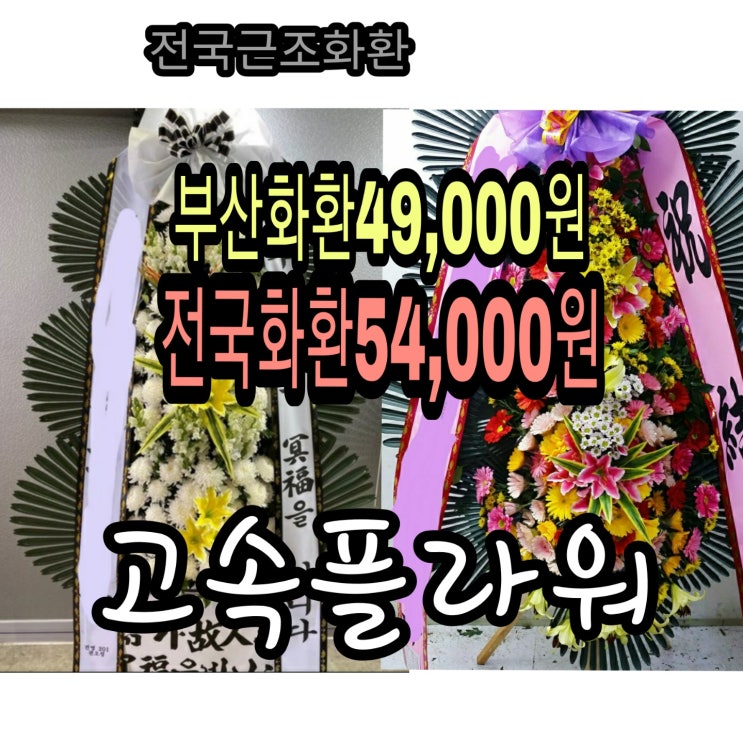  청주 더빈컨벤션웨딩홀 화환당일배송 예식장화환보내기 최저가 54,000원 품질보증 꽃배달 화환주문 빠른접수처리1800-6530